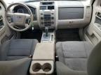 2010 Ford Escape Xlt   for Sale in Lebanon, TN - Side