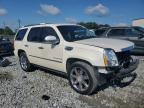 2009 Cadillac Escalade Luxury   na sprzedaż w Byron, GA - Front End