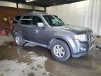 2011 Ford Escape Limited for Sale in Ebensburg, PA - All Over
