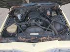 1977 CADILLAC DEVILLE   à vendre chez Copart FL - WEST PALM BEACH