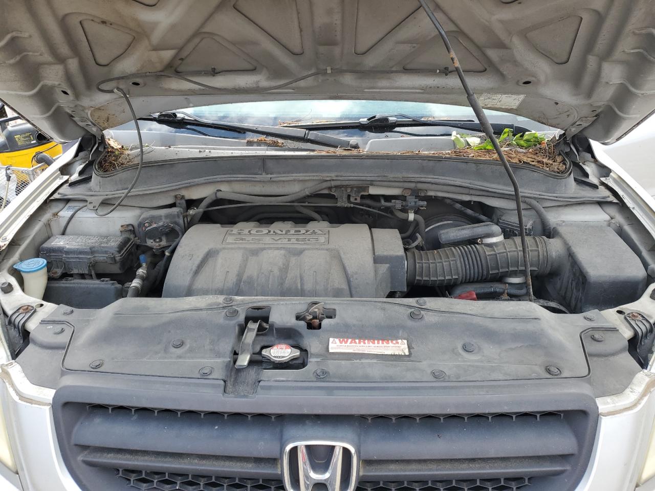 2005 Honda Pilot Exl VIN: 5FNYF18525B061866 Lot: 61494345