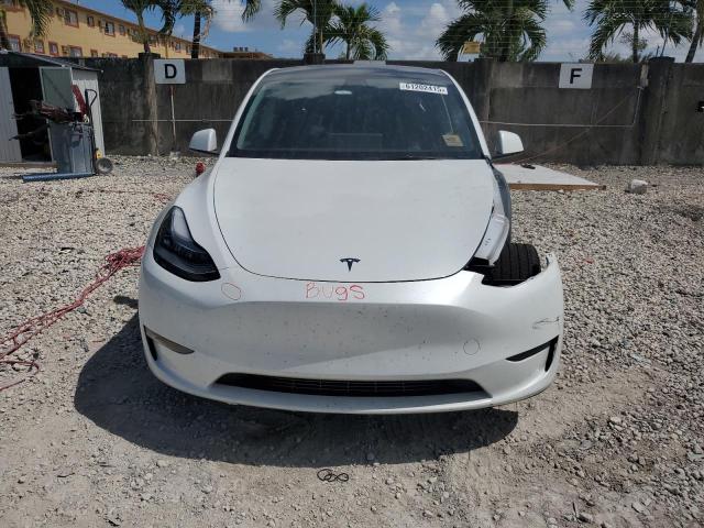  TESLA MODEL Y 2023 Biały