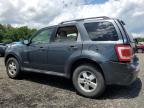 2008 Ford Escape Xlt for Sale in Waldorf, MD - Rear End