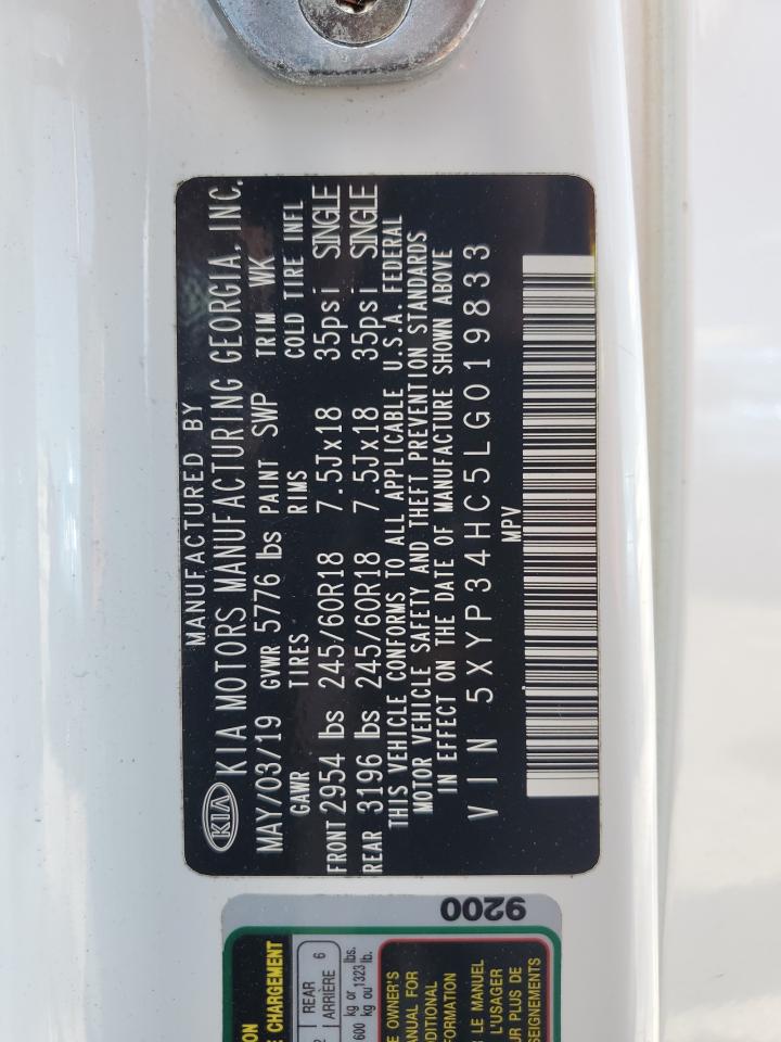 2020 Kia Telluride Ex VIN: 5XYP34HC5LG019833 Lot: 59298235
