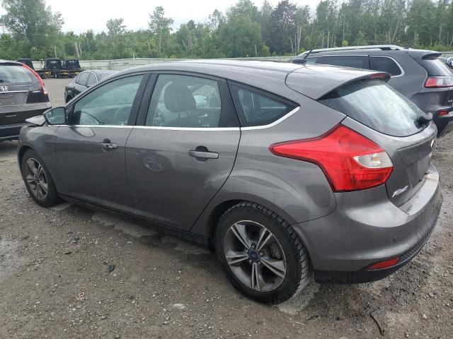  FORD FOCUS 2014 Szary