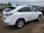 2010 LEXUS RX 350   for sale at Copart ON - TORONTO