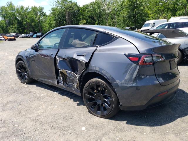  TESLA MODEL Y 2023 Szary