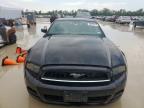 2014 Ford Mustang  for Sale in Houston, TX - Side