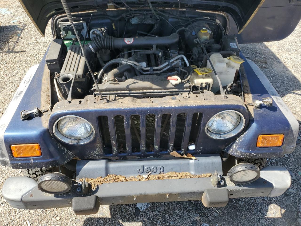 2002 Jeep Wrangler / Tj Sport VIN: 1J4FA49S92P709775 Lot: 61345735