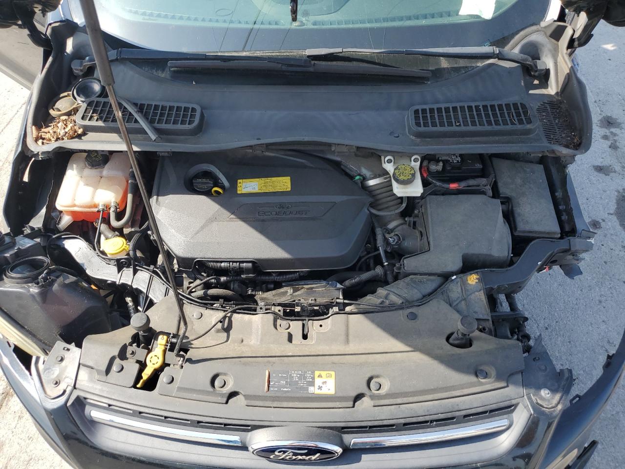 2014 Ford Escape Se VIN: 1FMCU0GX1EUB84266 Lot: 62636365