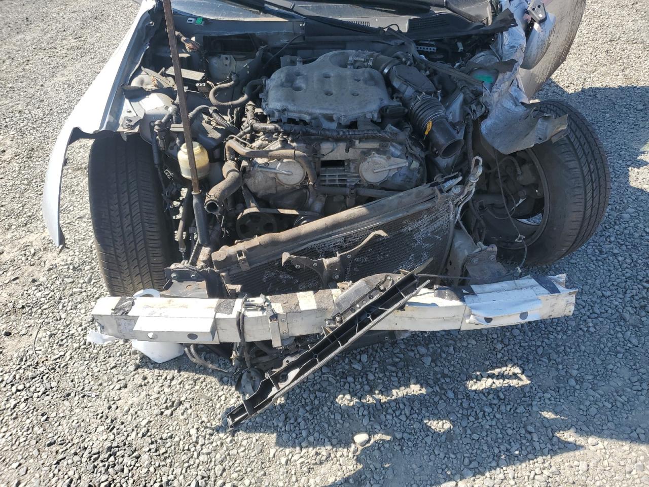 2004 Infiniti G35 VIN: JNKCV54E04M308901 Lot: 62215485