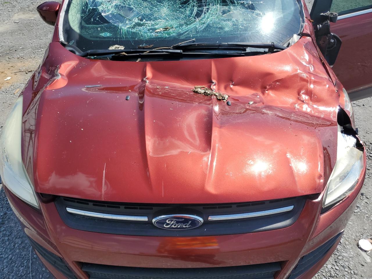 2015 Ford Escape Se VIN: 1FMCU0G77FUB55680 Lot: 62817085