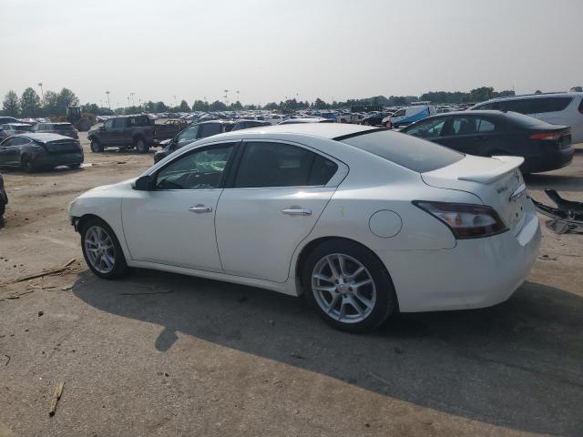  NISSAN MAXIMA 2014 Білий