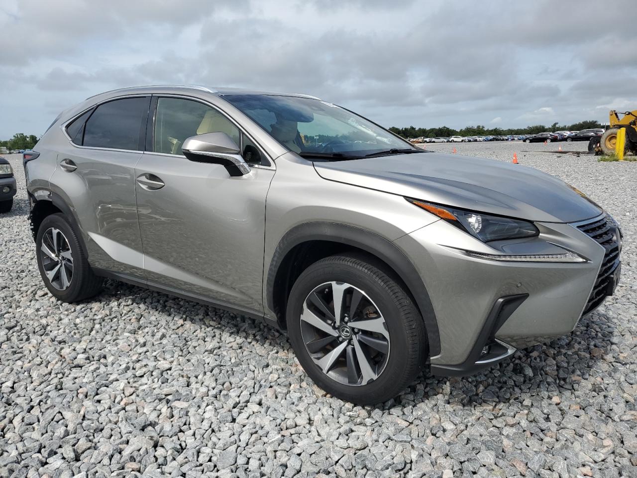 2019 Lexus Nx 300 Base VIN: JTJBARBZ8K2190723 Lot: 60831895