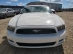 2013 FORD MUSTANG    for sale at Copart AB - EDMONTON