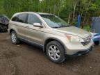 2009 HONDA CR-V EXL   for sale at Copart ON - COOKSTOWN