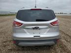 2016 Ford Escape Titanium for Sale in Bismarck, ND - All Over