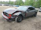 2013 FORD MUSTANG    for sale at Copart ON - COOKSTOWN