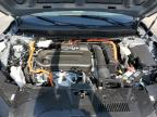 2024 Honda Cr-V Sport for Sale in Marlboro, NY - Side