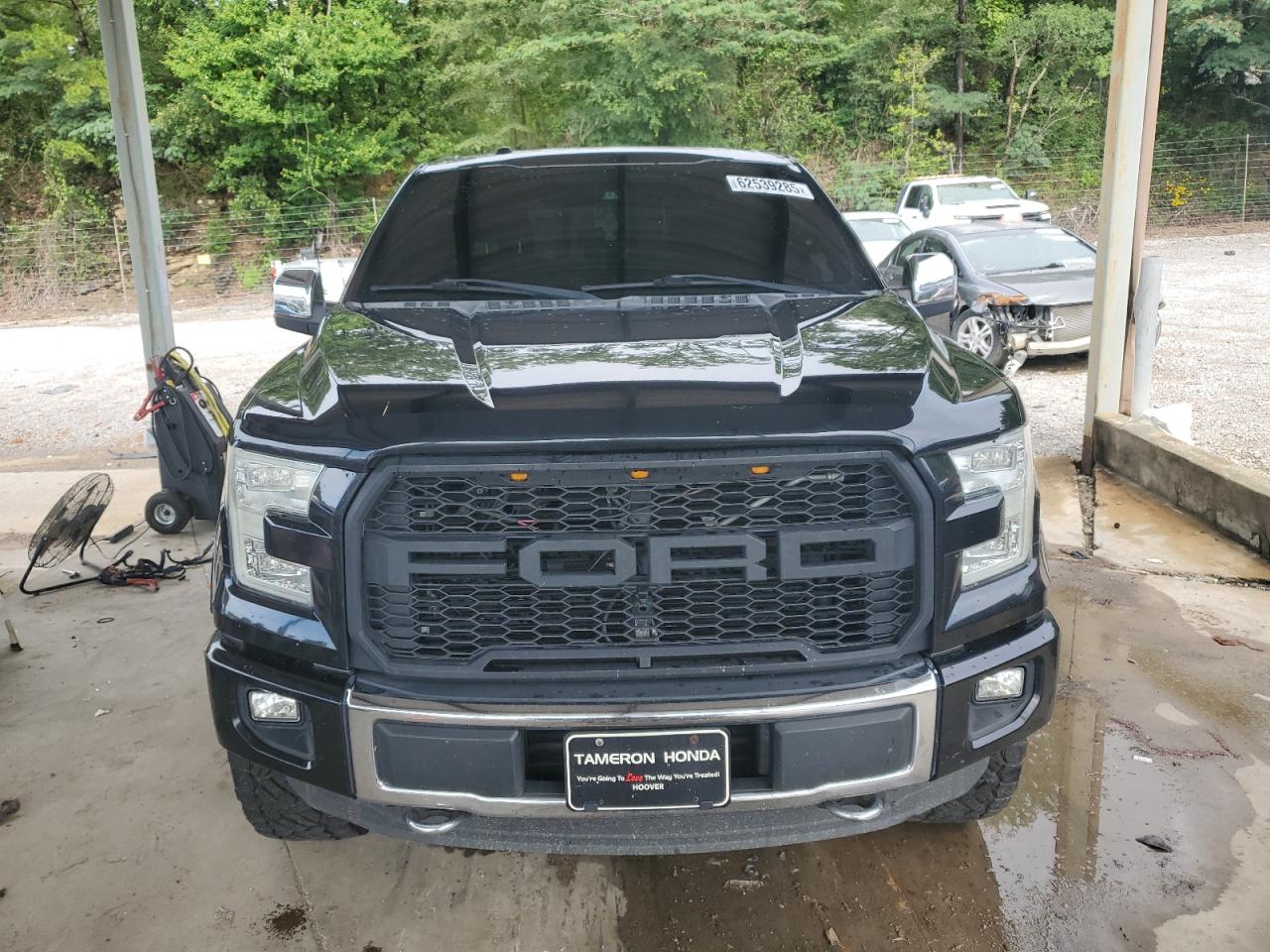 FORD F-150 2016 VIN 1FTEW1EG7GFD34985 photo 5