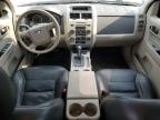 2011 Ford Escape Hybrid   for Sale in Chicago Heights, IL - Front End