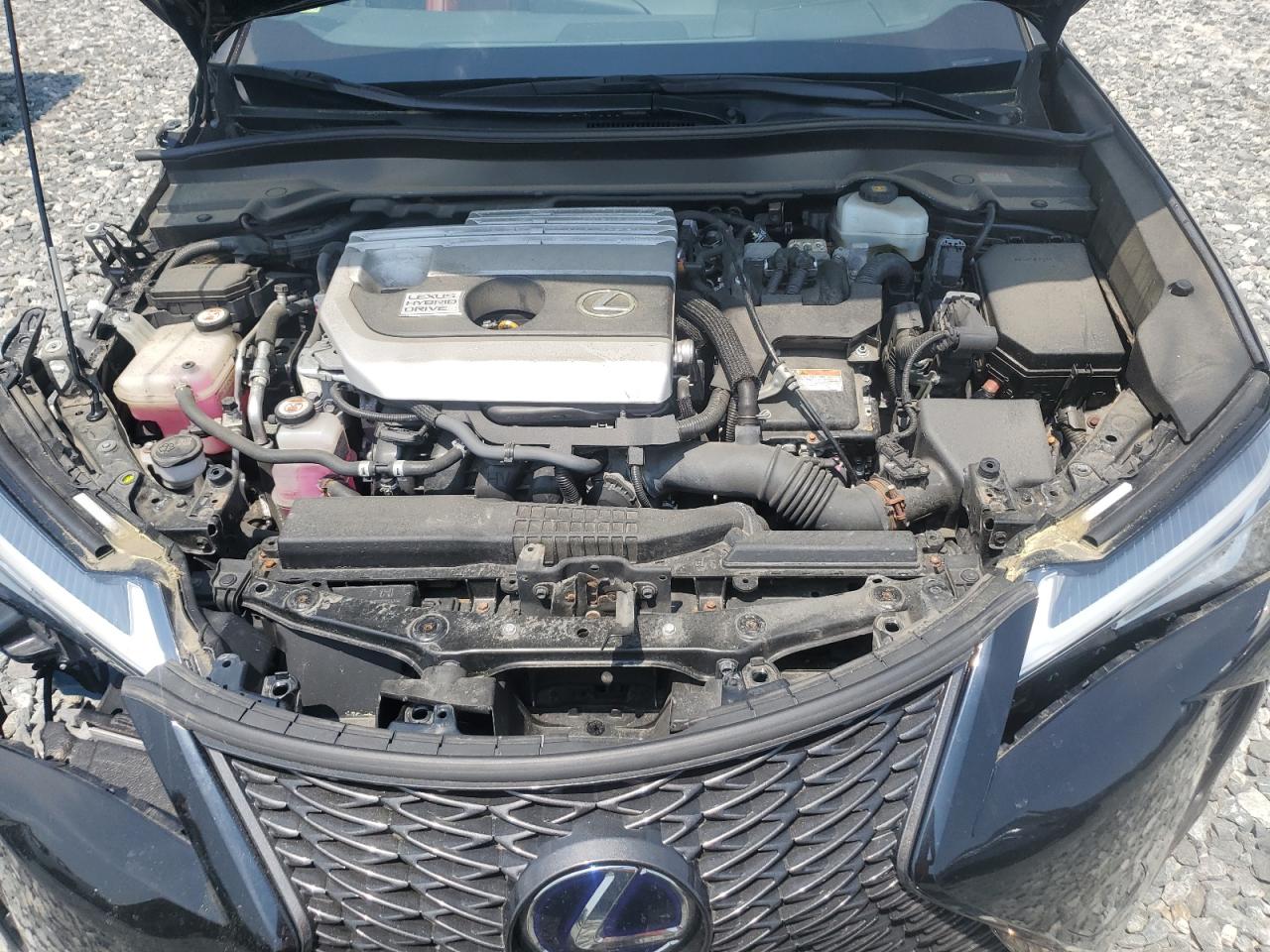 2019 Lexus Ux 250H VIN: JTHU9JBH2K2014259 Lot: 59742055