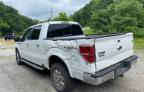2011 FORD F150 SUPERCREW   for sale at Copart KY - LEXINGTON WEST