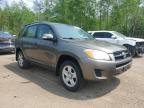2009 TOYOTA RAV4    à vendre chez Copart ON - COOKSTOWN