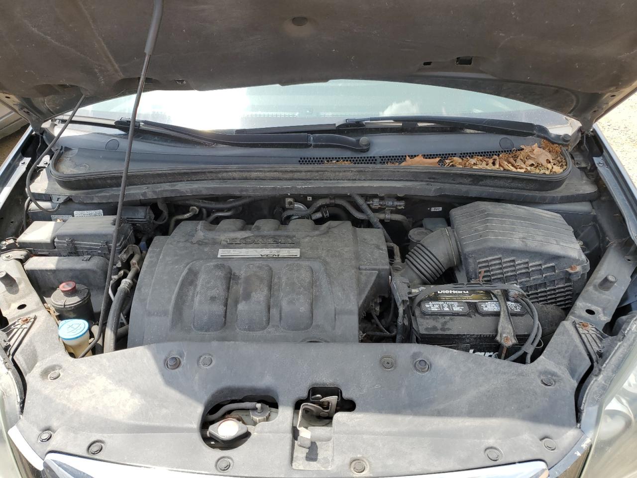 2006 Honda Odyssey Exl VIN: 5FNRL38766B425508 Lot: 60089605