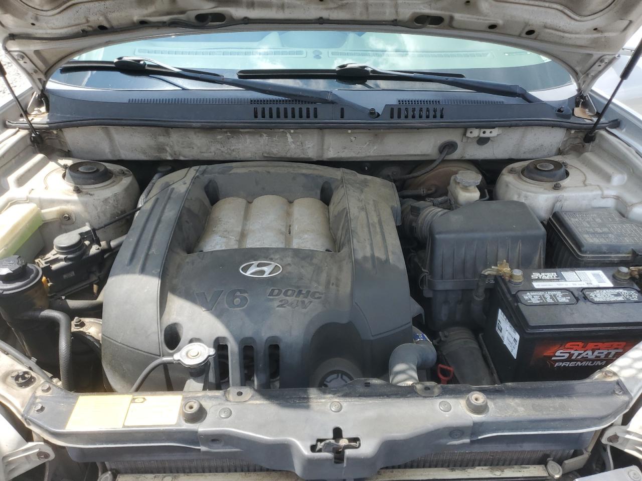 2003 Hyundai Santa Fe Gls VIN: KM8SC13D03U380597 Lot: 61028845