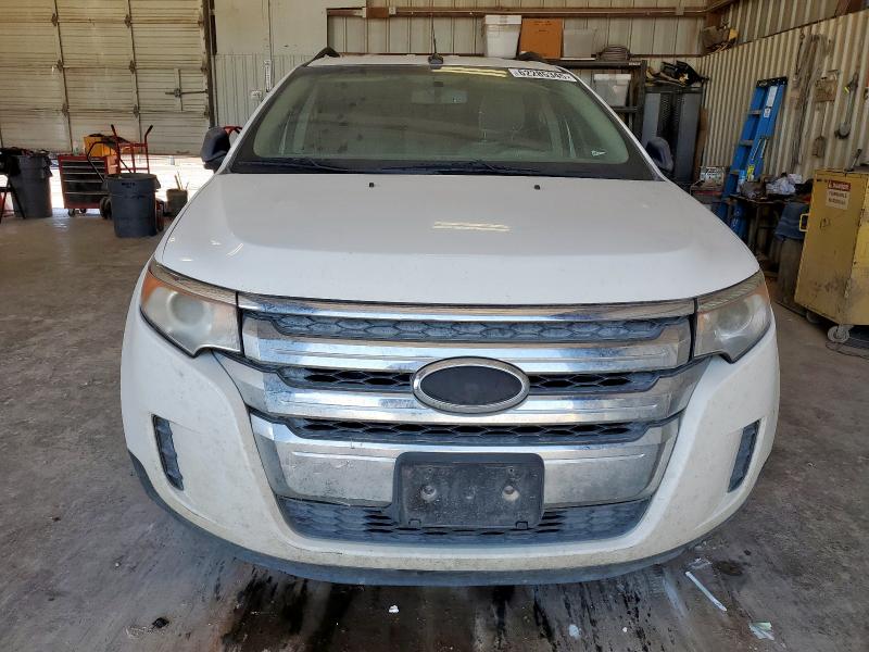 Паркетники FORD EDGE 2013 Белы