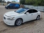 2010 Nissan Maxima S на продаже в Knightdale, NC - Side