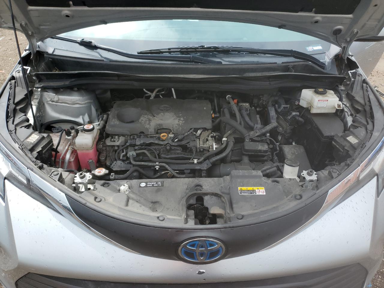 2021 Toyota Sienna Le VIN: 5TDKRKEC6MS029647 Lot: 59199425