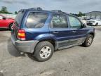 2003 Ford Escape Xlt   for Sale in Dunn, NC - Front End