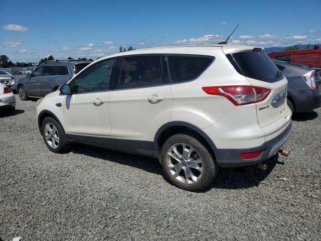 Parquets FORD ESCAPE 2013 White