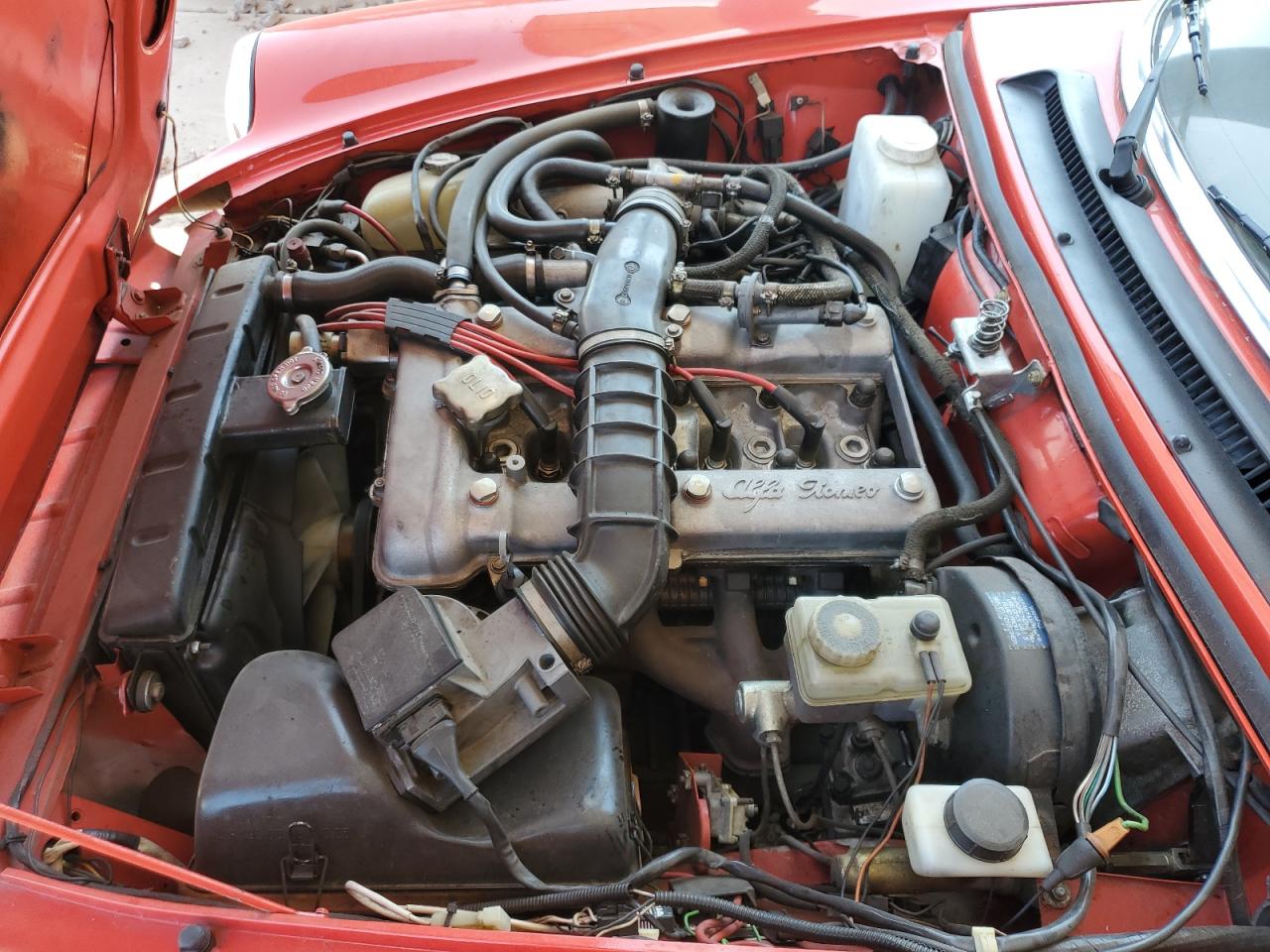 1985 Alfa Romeo Veloce 2000 Spider VIN: ZARBA5415F1021439 Lot: 61650585