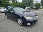 2010 Lexus Es 350 for Sale in Brookhaven, NY - Minor Dent/Scratches