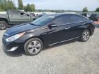 2012 Hyundai Sonata Hybrid for Sale in Arlington, WA - Minor Dent/Scratches