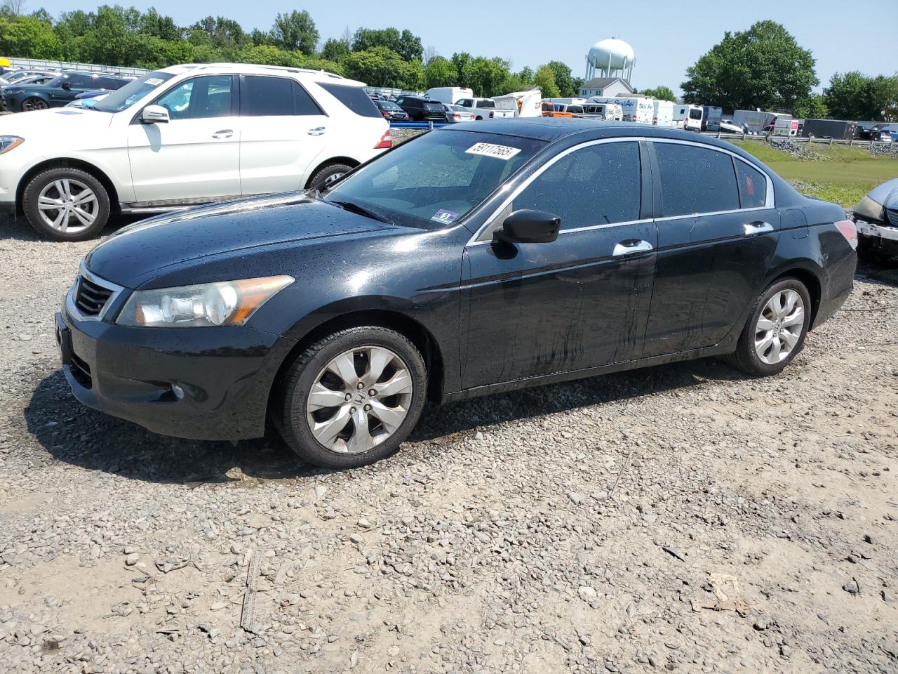 2010 Honda Accord Exl продається в Hillsborough, NJ - Front End