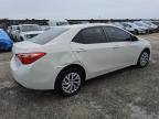 2019 Toyota Corolla L en Venta en Homestead, FL - Rear End