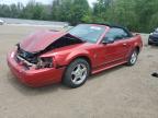 2002 FORD MUSTANG    for sale at Copart ON - COOKSTOWN