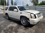 Miami, FL에서 판매 중인 2008 Cadillac Escalade Luxury - Front End
