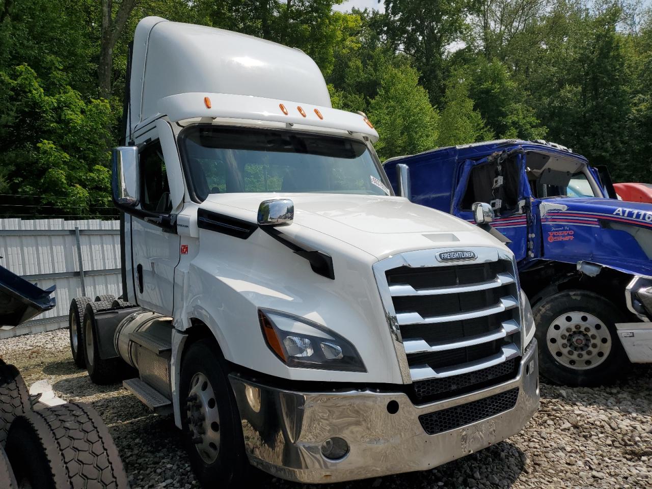 2021 Freightliner Cascadia 126 Semi Truck იყიდება West Warren-ში, MA - Side