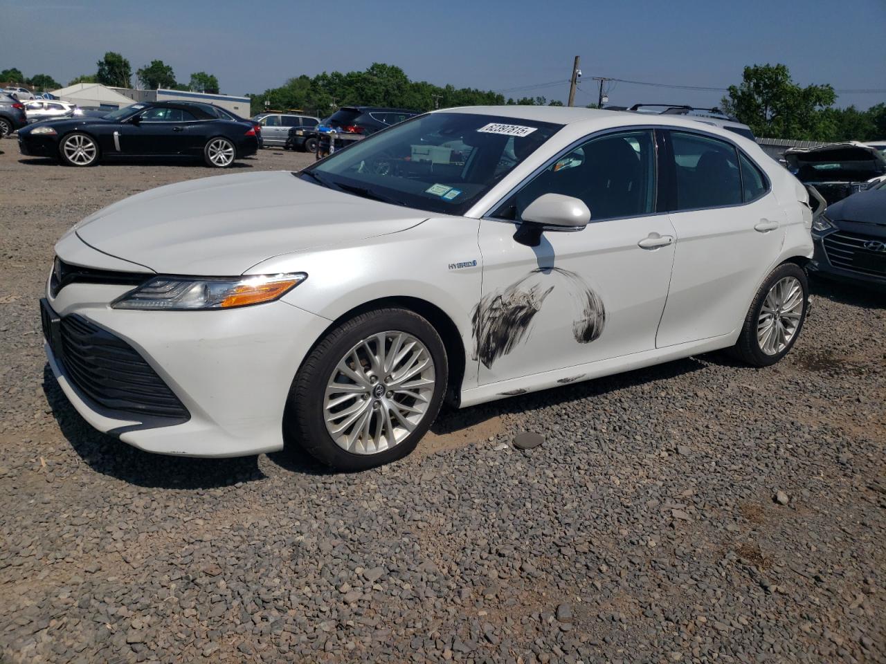TOYOTA CAMRY 2019 4T1B21HK5KU014272