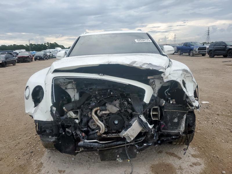  BENTLEY ALL MODELS 2019 White