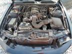 2006 Ford Mustang    for Sale in Arcadia, FL - Rear End