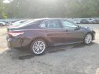 2020 Toyota Camry Xle   იყიდება Shreveport-ში, LA - Hail
