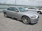 2013 DODGE CHARGER SXT   à vendre chez Copart ON - OTTAWA
