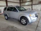 2009 Ford Escape Xlt   zu verkaufen in Eldridge, IA - Side