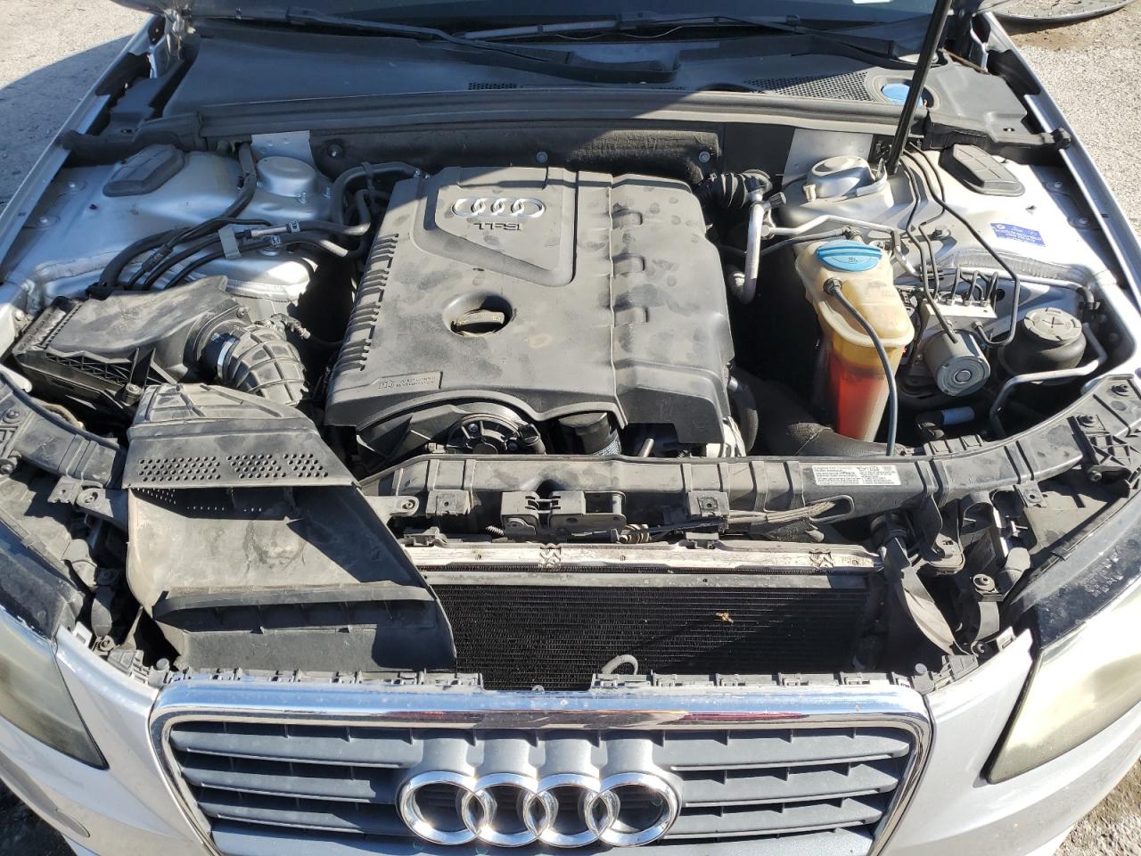 2010 Audi A4 Premium Plus VIN: WAUEFAFLXAN055990 Lot: 61876245